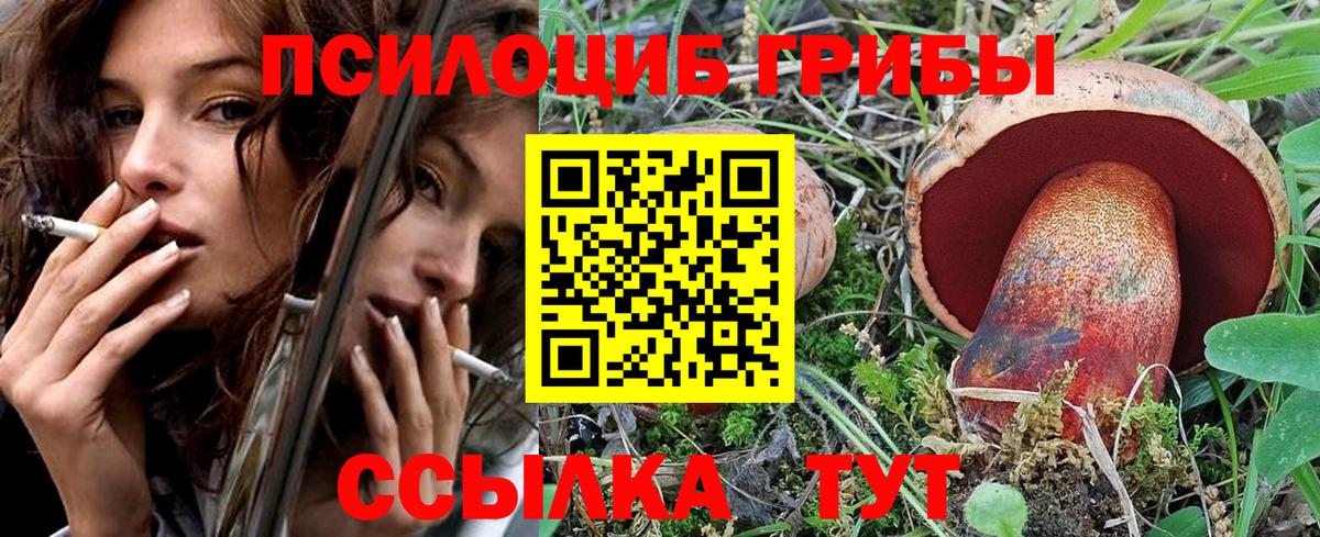 Псилоцибиновые грибы прущие грибы  Вход с VPN  Магнитогорск 
